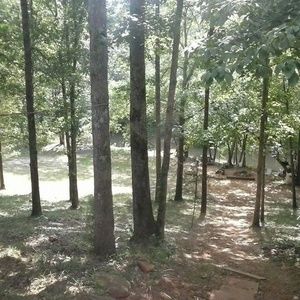 Meet your Posher, Marshall